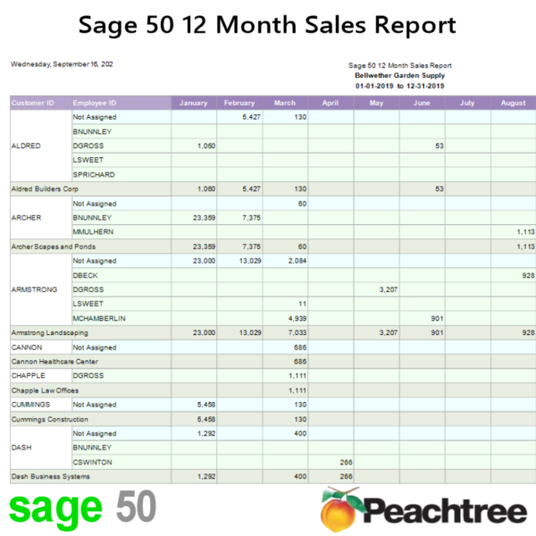 Sage 50 - 12 Months Sales Report Thumb