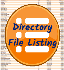 Directory File Listing