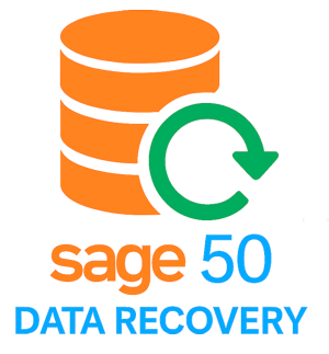 DataSoft Sage 50 Data and File Recovery Service